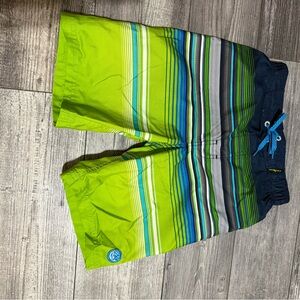 ZeroXposur Teal and Gray Swim Shorts